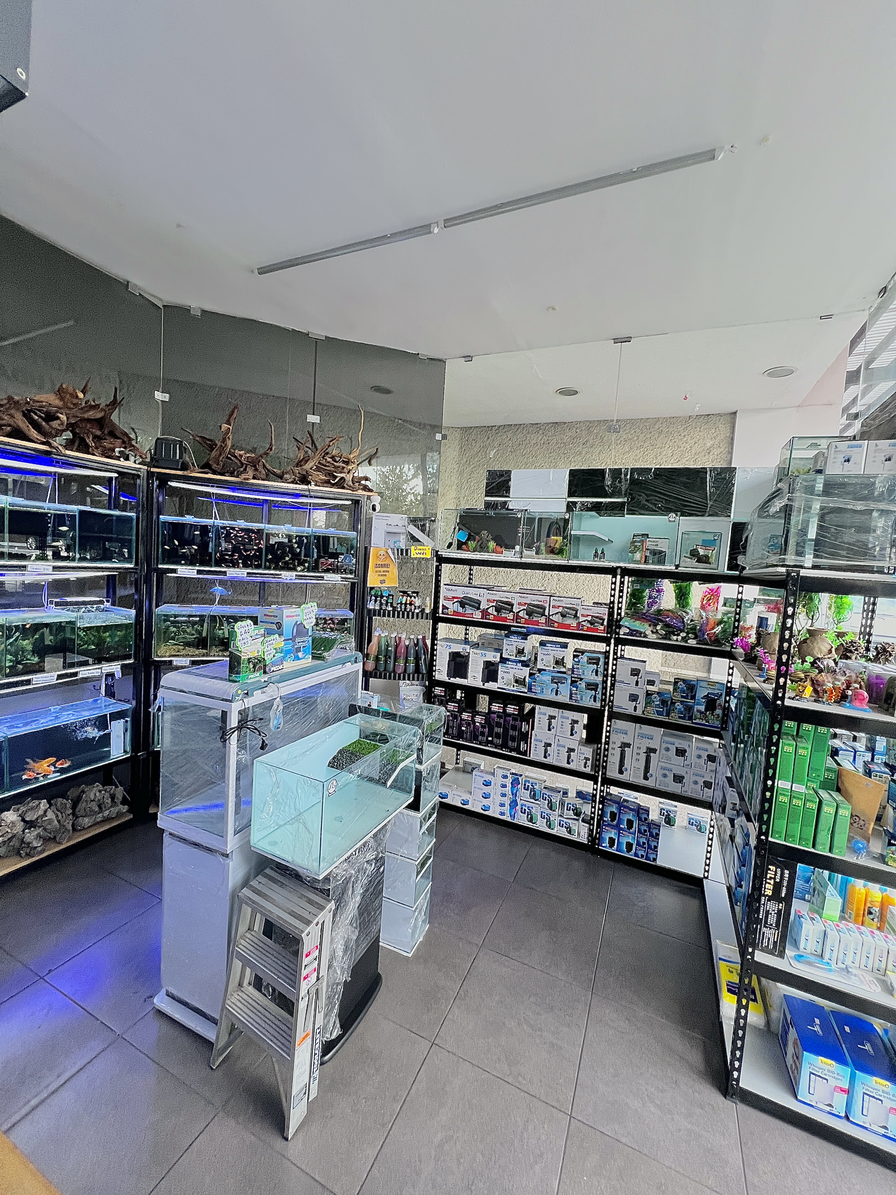 Interior de Tropinside Acuario - Vista 1